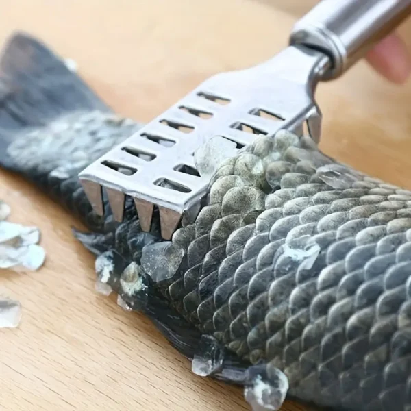 Remova Escamas de Peixe de Forma Rápida e Fácil com o Raspador Adequado - azhotdeal.com